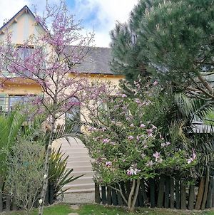 Guest House Dans Jardin Exotique Proche D'Une Voie Verte photos Exterior