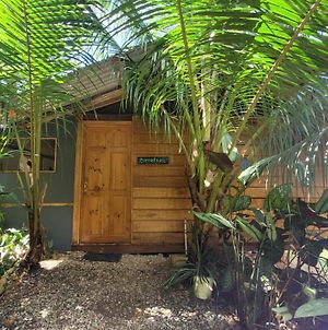 Private Jungle “Loft Del Rio” River Access photos Exterior