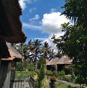 Taman Bintang Villa Ubud photos Exterior