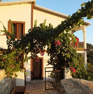 Lovely Family Home Surrounded By Nature In Sogut, Marmaris photos Exterior