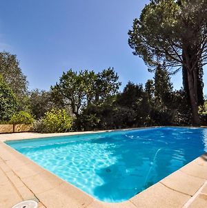 Awesome Home In Mougins With Outdoor Swimming Pool, Wifi And Private Swimming Pool photos Exterior