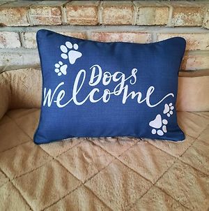 Dogs Welcome Pet Owner Studio - Fenced Yard - Queen Suite - Bourbon Trail - Horse Country photos Exterior