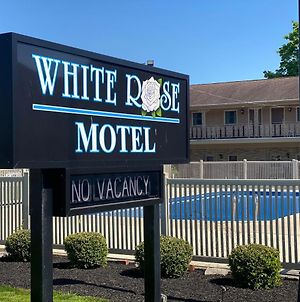White Rose Motel - Hershey photos Exterior