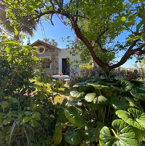 Casetta Nel Verde, "Il Giardino Fiorito" photos Exterior