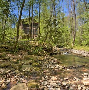 Smoky Mountain Retreat Trail And Creek Access! photos Exterior