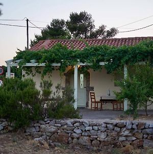 Elia Houses - Traditional House With Backyard photos Exterior