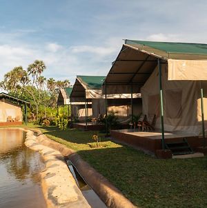 Borabora Wildlife Park And Luxury Tented Safari Camp Diani photos Exterior