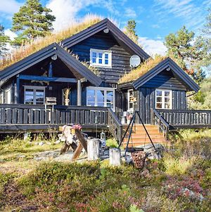 Nice Home In Eggedal With Sauna, Wifi And 4 Bedrooms photos Exterior
