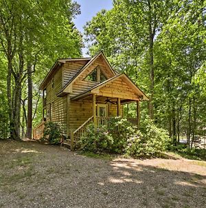 Whittier Cabin And Yard And Hot Tub, Pets Welcome photos Exterior