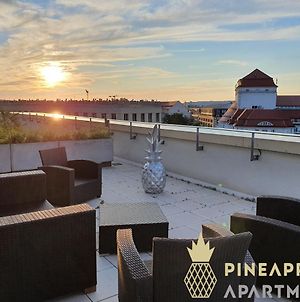 New! Pineapple Apartments Penthouse Am Zwinger photos Exterior