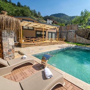 Fascinating Villa With Private Pool And Terrace Surrounded By Nature In Fethiye photos Exterior