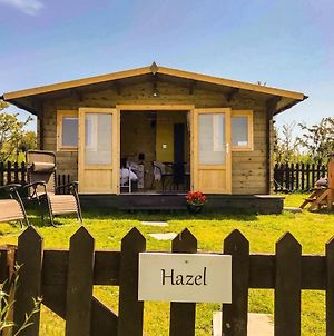 Hazel Glamping Hut With Hot Tub, Ensuite, Fenced Garden, Bbq, Firepit, Alpacas On Site, Views, Dog Friendly On Anglesey, North Wales photos Exterior