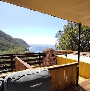 Kabak Lost Forest House photos Exterior