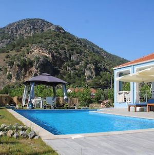 Villa Dionyssos photos Exterior