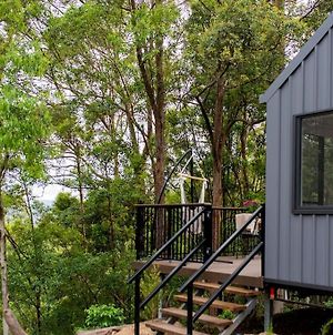 Romantic & Dreamy Wunya Tiny House - Sunshine Coast Hinterland photos Exterior