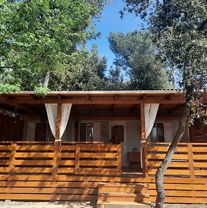 Oak Tree Mobile Home, Camp Soline photos Exterior