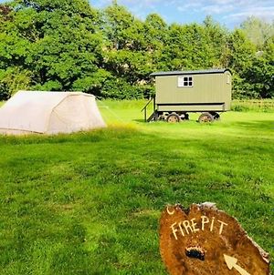 Shepherds Hut @ Tin And Canvas Glamping Pickering photos Exterior