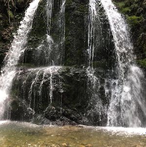 Ferienwohnung Wasserfall photos Exterior