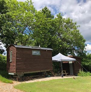 The Shepherds Hut At Tiphayes photos Exterior