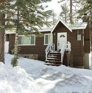 Grizzly Bear By Big Bear Cool Cabins photos Exterior