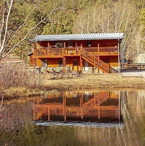 New! Greer Cabin With Private Pond And Views photos Exterior