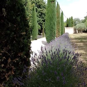 Magnifique Propriete Au Coeur De La Provence, Le Mas Des Anges photos Exterior