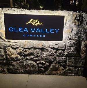 Luxury Apartment Nikiti - Olea Valley photos Exterior