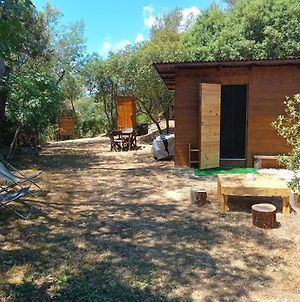 Cabane Eco Lodge - Maison D'Hotes photos Exterior