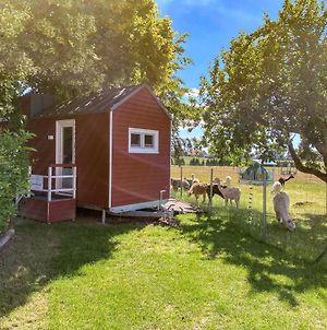 Tiny House Auf Der Alpaka Farm photos Exterior