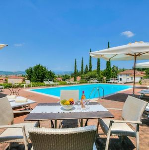 Villa Faccioli Magnolia And Oleandro With Shared Pool - Happy Rentals photos Exterior