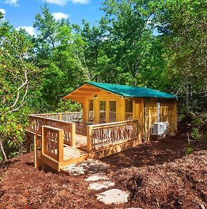 Laurel Ridge Cabin...Experience Nature In 90 Acres! photos Exterior