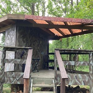 Unique Off Grid Tree-House Stay photos Exterior