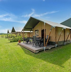 Attractive Tent Lodge In Zwiggelte With Garden photos Exterior