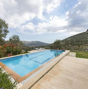 Splendid Villa Surrounded by Nature near Milas-Bodrum Airport photos Exterior