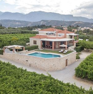 Cretan Vineyard Hill Villa II photos Exterior