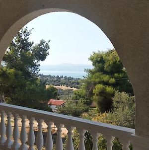 Panorama Seaview photos Exterior