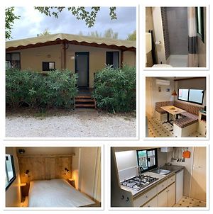 Mobile Home Comfort Viareggio - Camping Paradiso- R028 photos Exterior