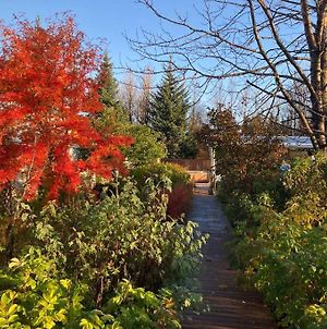 Enchanting Country Home With Backyard Hotspring photos Exterior