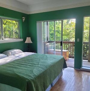 Rainforest Suit With A King Size Bed photos Exterior