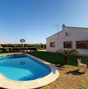 Villa Desamparados-Murcia Holiday Rentals Property photos Exterior