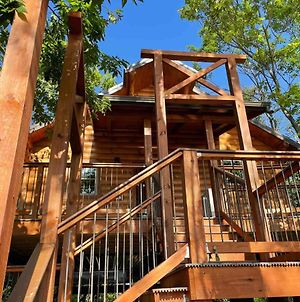 Cricket Hill Treehouse By Amish Country Lodging photos Exterior