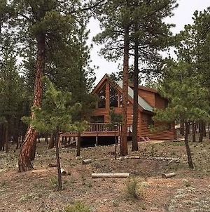 Dog Friendly, Cozy 3 Bdrm Cabin In The Woods photos Exterior