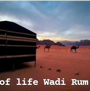 Joy Of Life - Wadi Rum Camp photos Exterior