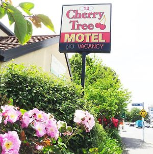 Cherry Tree Lodge Motel photos Exterior