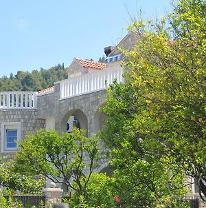 Villa Mirjana photos Exterior