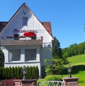 Large Holiday Home By Bad Pyrmont In Weser Uplands - Balcony, Terrace, Garden photos Room