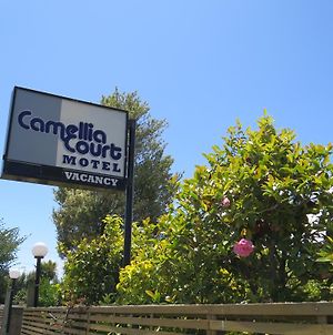Camellia Court Family Motel photos Exterior