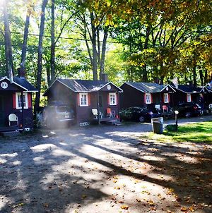 Maple Lodge Cabins photos Exterior