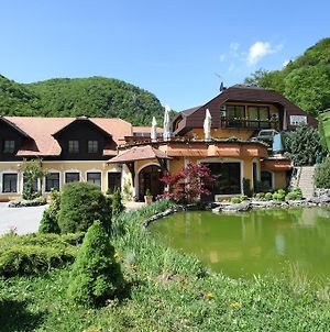 Guesthouse Villa Zelenjak Ventek photos Exterior