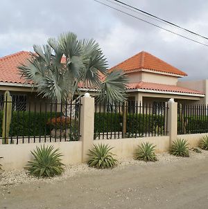 Aruba Palm Beach Villa photos Exterior